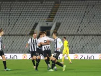 Slika 33