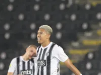 Slika 30