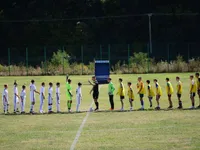 Slika 11