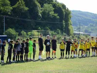Slika 10