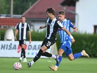 Slika 7