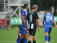 Slika 9