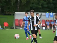 Slika 15