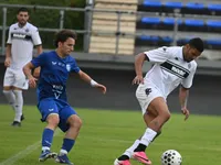 Slika 46