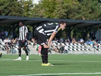 Slika 19