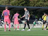 Slika 10