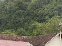 Slika 1
