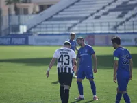 Slika 31