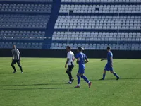 Slika 29