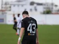 Slika 30