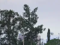 Slika 79