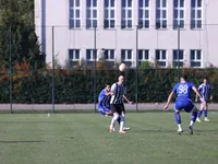 Slika 31