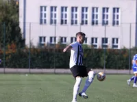 Slika 30