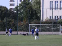 Slika 29