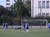 Slika 28