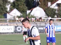Slika 10