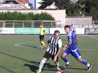 Slika 8