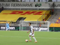 Slika 31