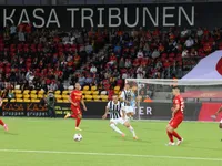 Slika 1