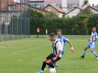 Slika 46