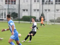 Slika 41