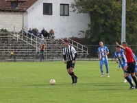 Slika 35