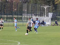 Slika 65