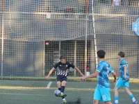 Slika 32