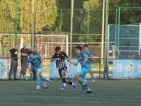 Slika 31