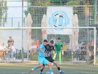 Slika 29