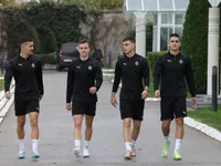 Slika 30