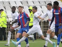 Slika 10