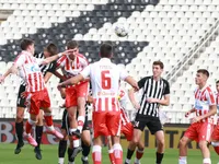 Slika 29