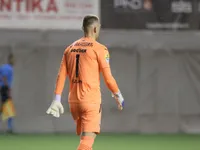 Slika 13