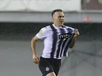 Slika 41