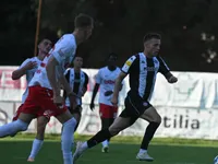Slika 11
