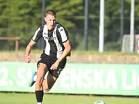 Slika 10