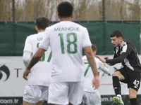 Slika 11