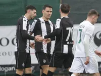 Slika 10