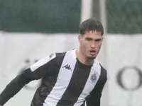 Slika 31