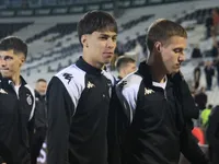 Slika 30