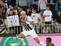 Slika 29