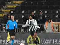 Slika 28