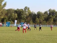 Slika 8
