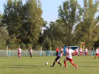 Slika 6