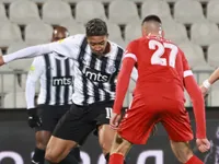 Slika 30
