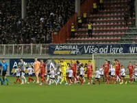 Slika 25