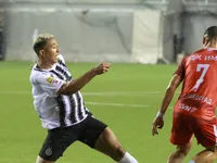 Slika 46