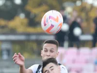 Slika 8