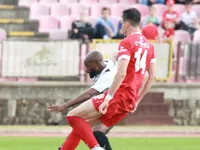 Slika 24